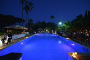 paradise suite